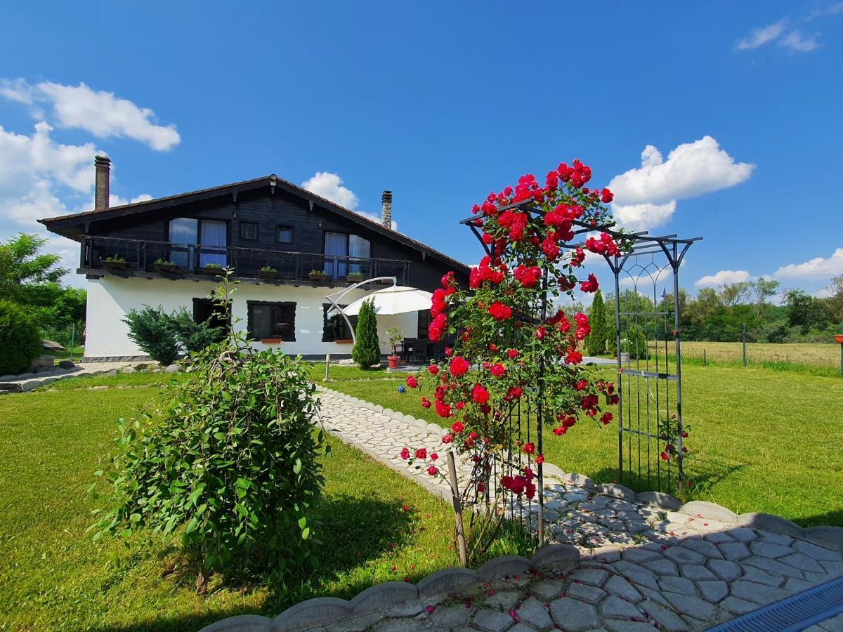Cabana Supporter -Supporter Chalet Porumbacu de Sus Zewnętrze zdjęcie